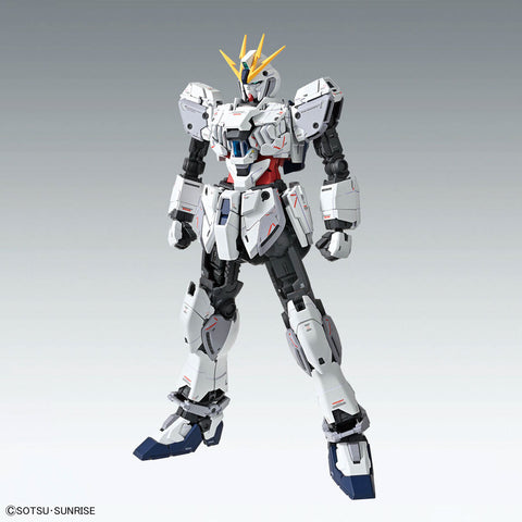 BANDAI MG 1/100 NARRATIVE GUNDAM C-PACKS Ver.Ka
